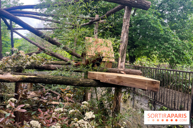 Ménagerie du Jardin des Plantes 2024 - nos photos - image00015