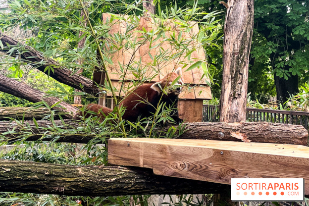 Ménagerie du Jardin des Plantes 2024 - nos photos - image00010