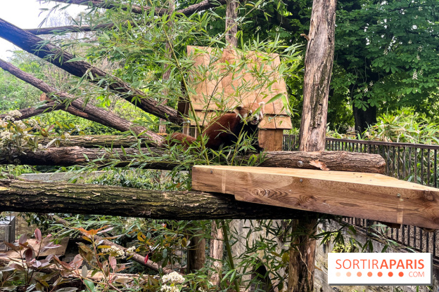 Ménagerie du Jardin des Plantes 2024 - nos photos - image00012