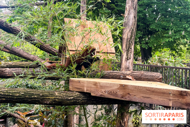 Ménagerie du Jardin des Plantes 2024 - nos photos - image00013