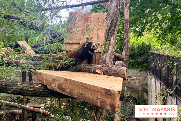 Ménagerie du Jardin des Plantes 2024 - nos photos