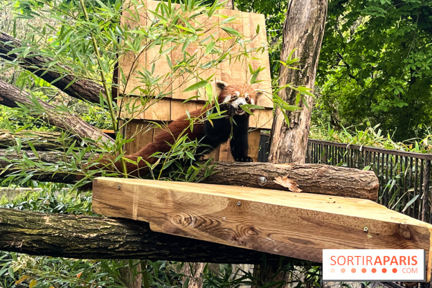 Ménagerie du Jardin des Plantes 2024 - nos photos - image00006