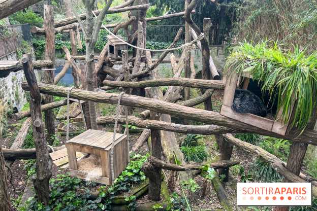 Ménagerie du Jardin des Plantes 2024 - nos photos
