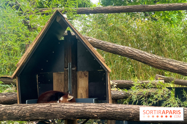 Ménagerie du Jardin des Plantes 2024 - nos photos - image00035