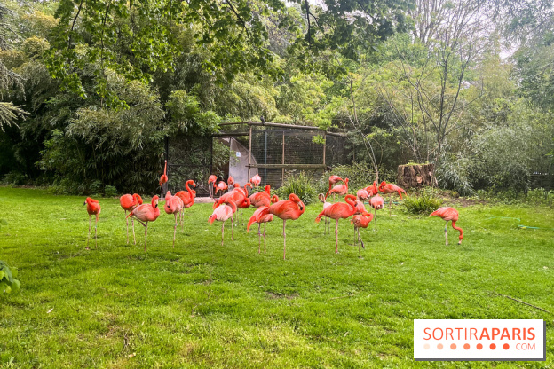 Ménagerie du Jardin des Plantes 2024 - nos photos - image00025