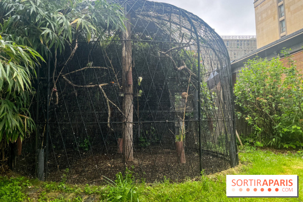 Ménagerie du Jardin des Plantes 2024 - nos photos