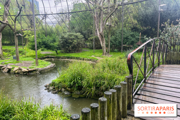 Ménagerie du Jardin des Plantes 2024 - nos photos - image00008