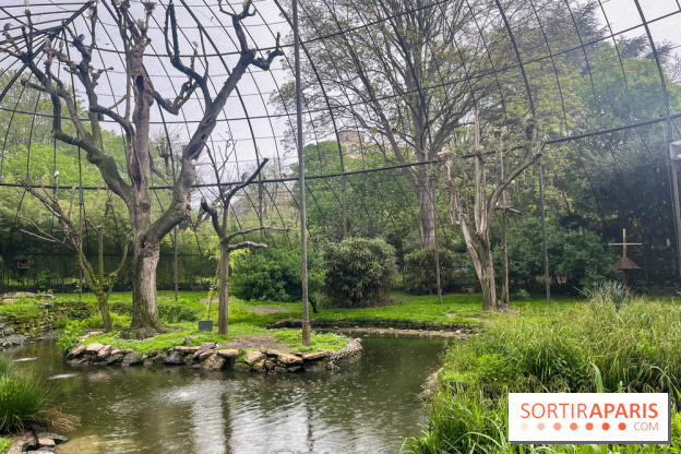 Ménagerie du Jardin des Plantes 2024 - nos photos - image00009