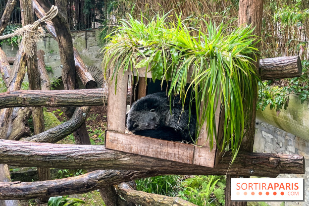 Ménagerie du Jardin des Plantes 2024 - nos photos - image00005