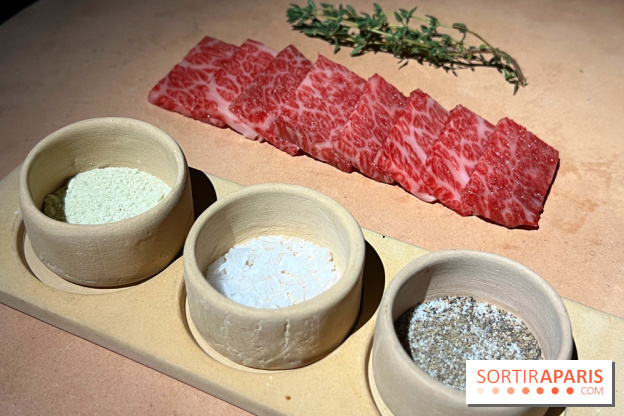 Marie Akaneya - Matsusaka Beef