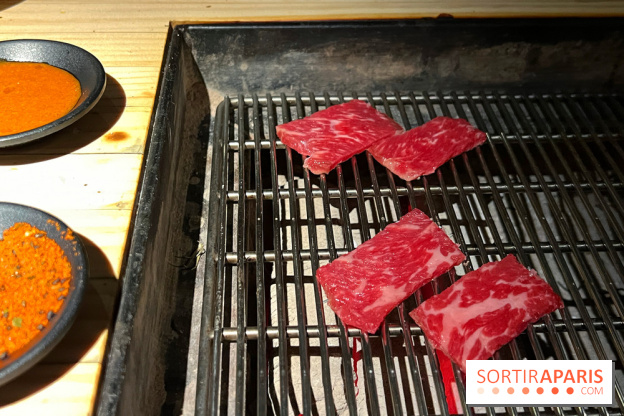 Marie Akaneya - Hampe de bœuf