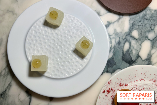 Amâlia - Loukoum sudachi livèche