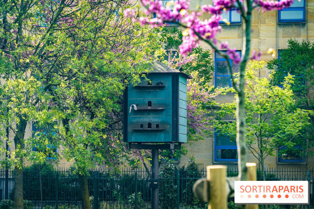 Parc de Choisy - Paris 13e -  A7C1206
