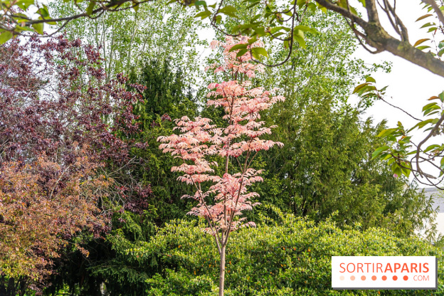 Parc de Choisy - Paris 13e -  A7C1209
