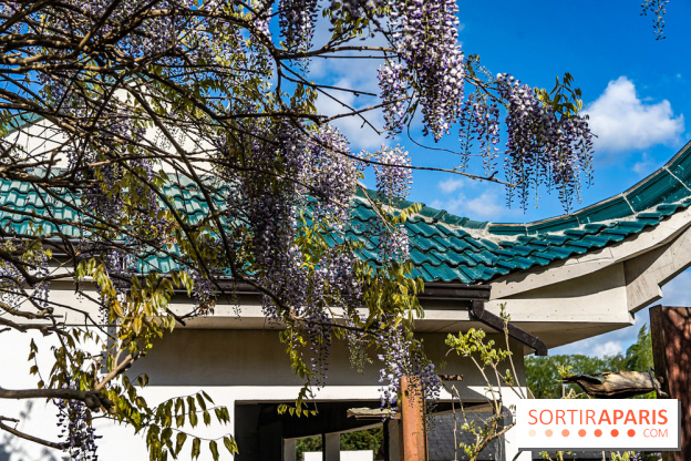 Jardin Yili, le jardin chinois caché dans les Yvelines