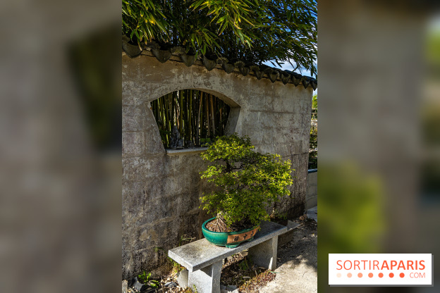 Jardin Yili, le jardin chinois caché dans les Yvelines -  A7C2213