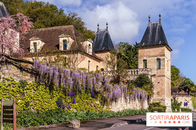 Village de Medan dans les Yvelines -  château de Medan - glycine