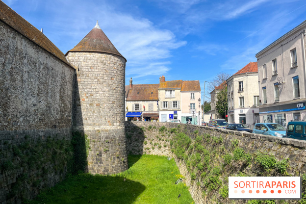 Château de Dourdan - nos photos - image00039