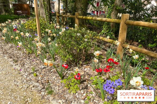 Le parc Lejars-Rouillon - nos photos - image00019