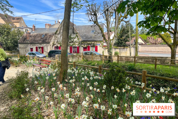 Le parc Lejars-Rouillon - nos photos - image00013