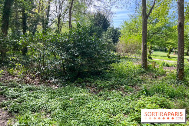 Le parc Lejars-Rouillon - nos photos - image00004