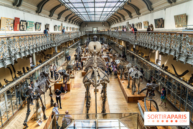 La Galerie de Paléontologie et d'Anatomie comparée du Muséum au Jardin des Plantes