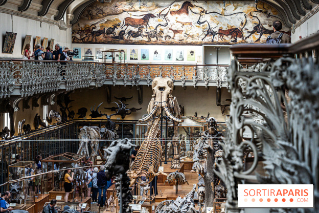 La Galerie de Paléontologie et d'Anatomie comparée du Muséum au Jardin des Plantes -  A7C7453