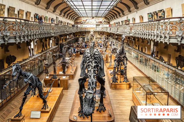 La Galerie de Paléontologie et d'Anatomie comparée du Muséum au Jardin des Plantes