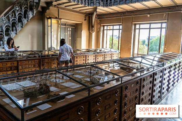 La Galerie de Paléontologie et d'Anatomie comparée du Muséum au Jardin des Plantes