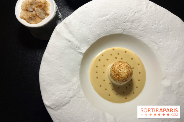 Quelque Part - Ile flottante de Saint-Jacques