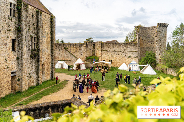 Les Rendez-vous de la Madeleine à Chevreuse -  A7C2549