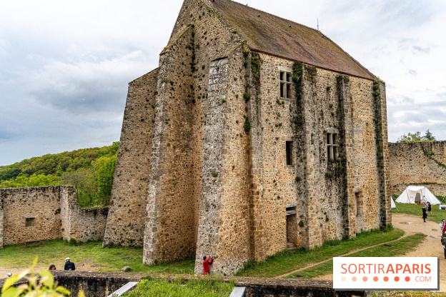 Les Rendez-vous de la Madeleine à Chevreuse -  A7C2555