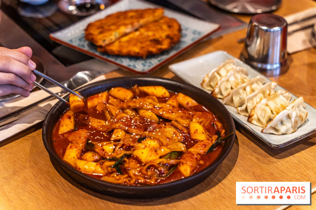 Hwaro Grill, le barbecue Coréen Paris 15e -  tteokbokki