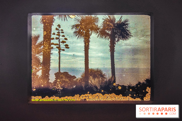 Natures vivantes : l'exposition photo qui met à l'honneur les jardins du musée Albert Kahn - photos - IMG20240429150022