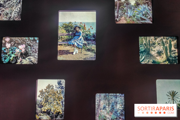 Natures vivantes : l'exposition photo qui met à l'honneur les jardins du musée Albert Kahn - photos - IMG20240429145512