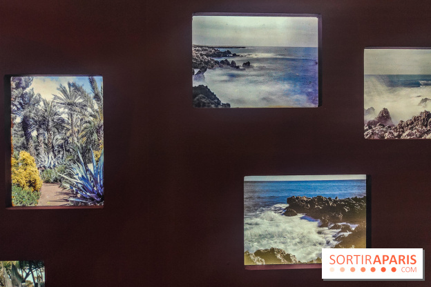 Natures vivantes : l'exposition photo qui met à l'honneur les jardins du musée Albert Kahn - photos - IMG20240429145436