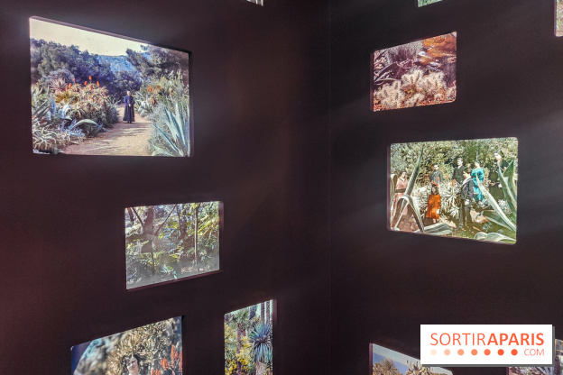 Natures vivantes : l'exposition photo qui met à l'honneur les jardins du musée Albert Kahn - photos