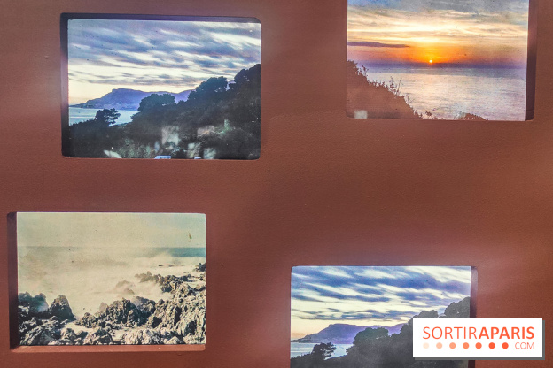 Natures vivantes : l'exposition photo qui met à l'honneur les jardins du musée Albert Kahn - photos - IMG20240429145449