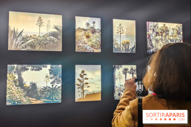 Natures vivantes : l'exposition photo qui met à l'honneur les jardins du musée Albert Kahn - photos