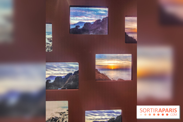Natures vivantes : l'exposition photo qui met à l'honneur les jardins du musée Albert Kahn - photos