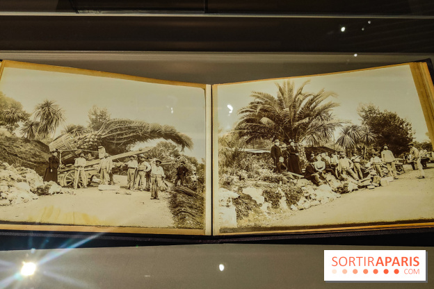 Natures vivantes : l'exposition photo qui met à l'honneur les jardins du musée Albert Kahn - photos