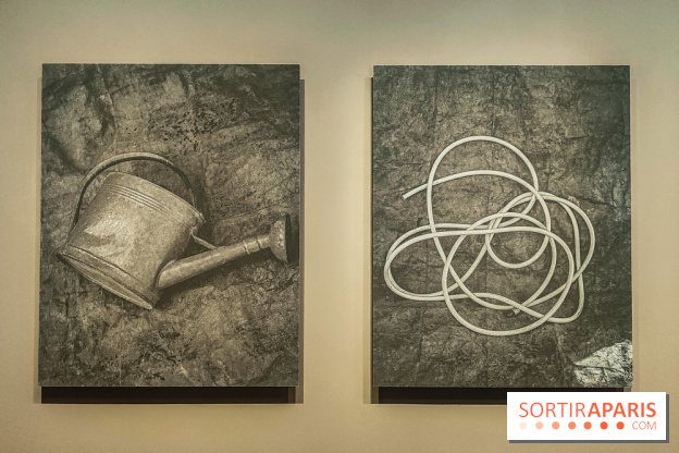 Natures vivantes : l'exposition photo qui met à l'honneur les jardins du musée Albert Kahn - photos - IMG20240429150240