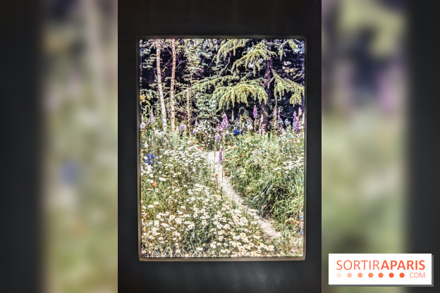 Natures vivantes : l'exposition photo qui met à l'honneur les jardins du musée Albert Kahn - photos