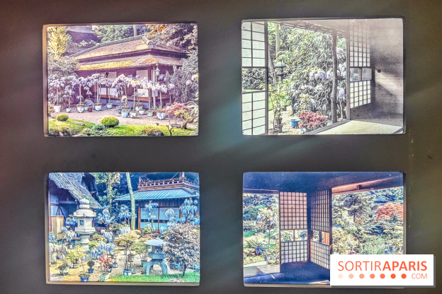 Natures vivantes : l'exposition photo qui met à l'honneur les jardins du musée Albert Kahn - photos - IMG20240429150418