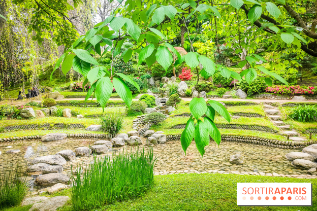 Natures vivantes : l'exposition photo qui met à l'honneur les jardins du musée Albert Kahn - photos - IMG20240429155101