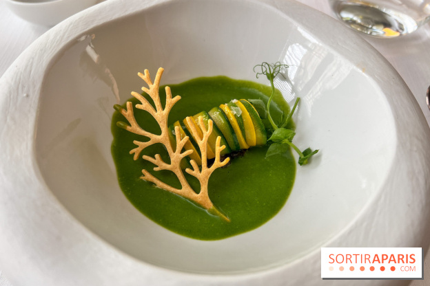 Mavrommatis : Menu Initiation - Mavrommatis