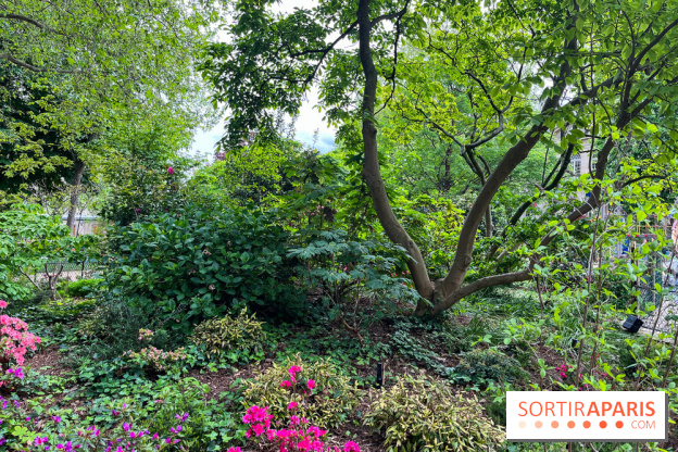 Jardin Villemin - nos photos - image00015