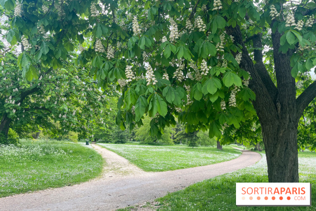 Le parc de Bois-Préau - nos photos - image00007