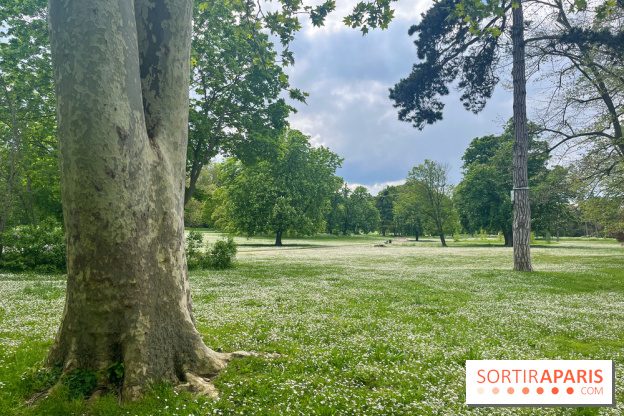 Le parc de Bois-Préau - nos photos - image00009