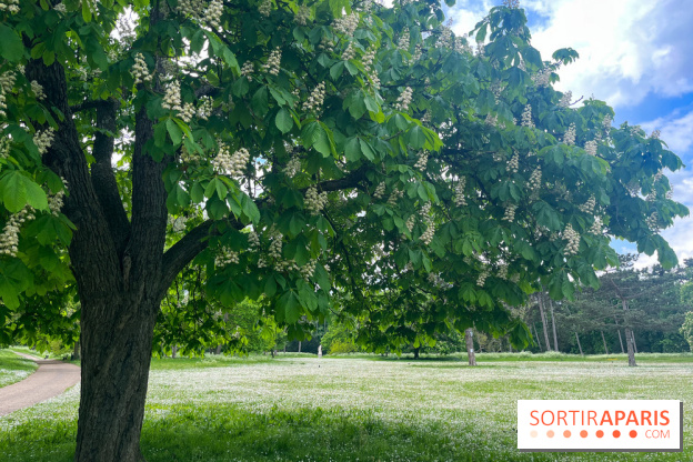 Le parc de Bois-Préau - nos photos - image00004